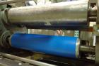 2009 Anko Spring Roll Production Line